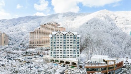 소노벨 비발디파크 D, 양양·홍천·인제·철원, 강원권 - 여기어때 특가