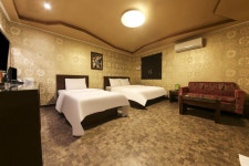 강릉 캣츠, 강릉역·교동택지·옥계, 강원 - 여기어때 특가