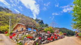 양양 강이네하우스 애견펜션, 양양, 강원 - 여기어때 특가