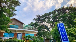 영흥도 소나무숲펜션, 대부도·영흥도·선재도, 인천 - 여기어때 특가