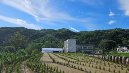 광주 펜션 앤 남한산성 아트홀, 용인·여주·이천, 경기 - 여기어때 특가