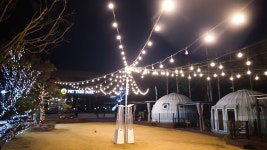 충주 펫트리파크, 충청 - 여기어때 특가
