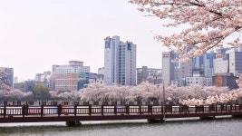 광주 CS관광호텔, 광주, 전라 - 여기어때 특가