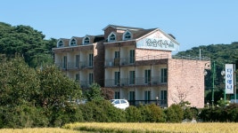 안면도 솔숲하우스, 꽃지·안면도, 충남 - 여기어때 특가