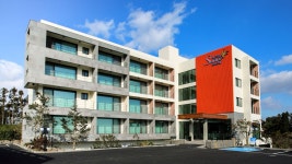 스와브 호텔, 서귀포시, 제주 - 여기어때 특가