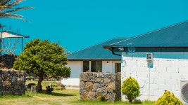 제주 금성담쟁이, 제주·애월, 제주 - 여기어때 특가