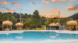 가평 트리하우스 애견동반펜션, 아침고요수목원·상면, 가평 - 여기어때 특가