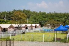 서산 애견글램핑은 펫앤트리, 충청 - 여기어때 특가