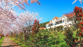 태안 장꽁펜션(종료), 꽃지·안면도, 충남 - 여기어때 특가