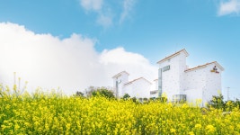 꼬뜨도르 호텔, 조천·함덕·김녕, 제주 - 여기어때 특가