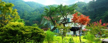 양평 힐링캠프, 양평·용문, 경기 - 여기어때 특가