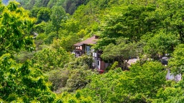 양양 다산방 애견동반펜션, 양양, 강원 - 여기어때 특가