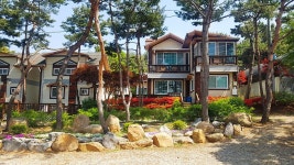 대부도 미림펜션 (신관), 대부도·영흥도·선재도, 인천 - 여기어때 특가