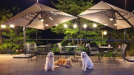 가평 자니펜션, 자라섬·북면, 가평 - 여기어때 특가