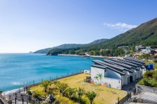 거제 더베이1804풀빌라 애견 펜션, 거제 남부 (바람의언덕), 경남 - 여기어때 특가