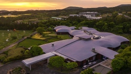 제주 포도호텔, 서귀포시, 제주 - 여기어때 특가