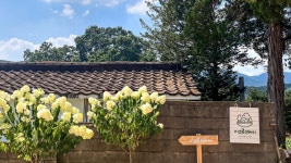 시골의 옛 추억을 떠올리게 하는 독채 숙소 | 시고르스테이, 서울·경인 - 여기어때 특가