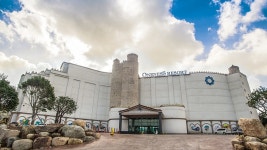 완도원네스리조트, 영광·목포·고흥, 전라 - 여기어때 특가