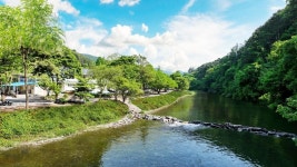 홍천 하방소 포레스트, 홍천·인제·철원·화천, 강원 - 여기어때 특가