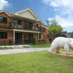 용인해피트리펜션, 용인·여주·이천, 경기 - 여기어때 특가