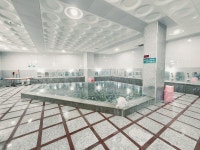 울진 백암태백온천, 울진·울릉도·청송·영덕, 경북 - 여기어때 특가