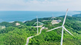 영덕 더클래식펜션앤리조트, 영덕·울진·울릉도, 경북 - 여기어때 특가