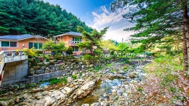 포천 잣나무솔향기펜션, 포천·남양주, 경기 - 여기어때 특가