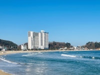 양양 오션스테이 E7 인더시티, 양양·낙산·하조대·인제, 강원 - 여기어때 특가