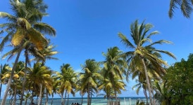 PETIT BUNGALOW TROPICAL COSI SUR PLAGE PRIVEE, 상트 안느, 과들루프 - 여기어때 특가