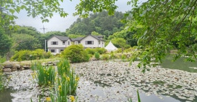 가평 연화펜션, 아침고요수목원·상면, 가평 - 여기어때 특가