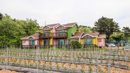 태안 파스텔, 태안·만리포·청포대, 충남 - 여기어때 특가