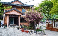 울주 알프스119하우스, 울산, 부산/울산 - 여기어때 특가