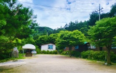 가평 허브나무 애견동반펜션, 남이섬·가평읍, 가평 - 여기어때 특가