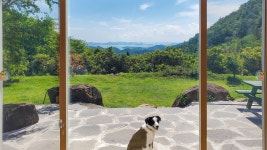 반려동물과 함께하는 프라이빗한 숲속 독채 | 비파 ALL스테이, 전라 - 여기어때 특가