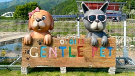 문경 젠틀펫 파라다이스, 경상/부산 - 여기어때 특가