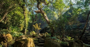 2025 신베이 Yangmei Story House 근처 호텔,숙소 베스트 10