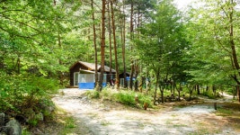 양양 숲속의집 애견동반펜션, 양양, 강원 - 여기어때 특가