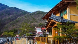 공주 굿모닝펜션, 서산·예산·아산·서천·공주, 충남 - 여기어때 특가