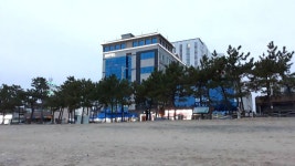 레지던스호텔 블루오션뷰, 창원·양산·김해·울산, 경상 - 여기어때 특가