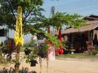 Heun Baan Rong Khun Resort, 치앙라이, 태국 - 여기어때 특가