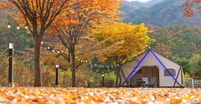 가평 달빛정원글램핑앤카라반, 가평 - 여기어때 특가