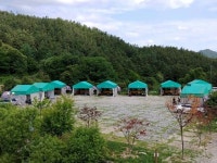 가평 링크독애견파크펜션, 청평·설악·쁘띠프랑스, 가평 - 여기어때 특가