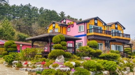 울진 노란뜰 펜션, 영덕·울진·울릉도, 경북 - 여기어때 특가