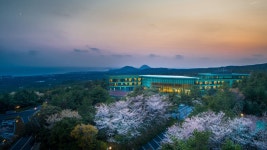 ★당일특가★ WE호텔 제주, 중문, 제주 - 여기어때 특가