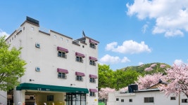 남해 솔밭비치 펜션, 남해·사천, 경남 - 여기어때 특가