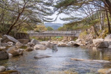 제천 산중다연펜션, 단양·충주·제천·괴산, 충북 - 여기어때 특가