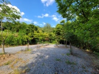 예산 느티나무캠핑장, 충청 - 여기어때 특가