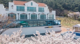 포항 더원유포리아풀빌라&애견펜션, 포항, 경북 - 여기어때 특가