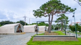 화성 화성 안석관광농원, 경기/인천 - 여기어때 특가