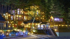 횡성 숲속의사랑별펜션, 평창·횡성·원주, 강원 - 여기어때 특가